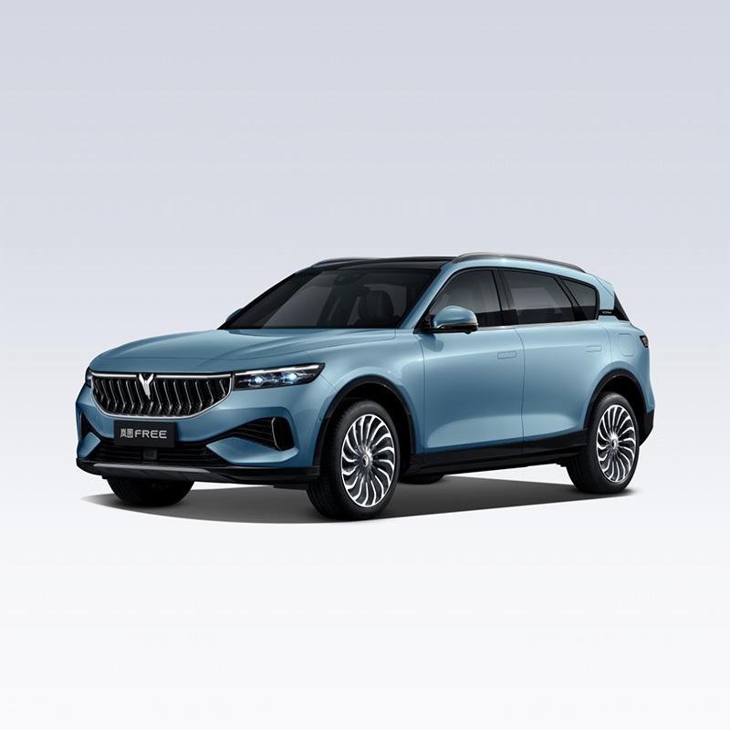 2023 Chinese new energy vehicle high performance sports electric cars VOYAH free 4wd electric vehicle