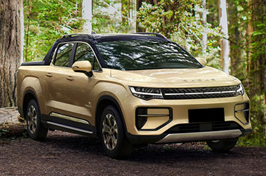 Electric Vehicles Radar Riddara Rd6 4X4 Geely Pick up Truck Car